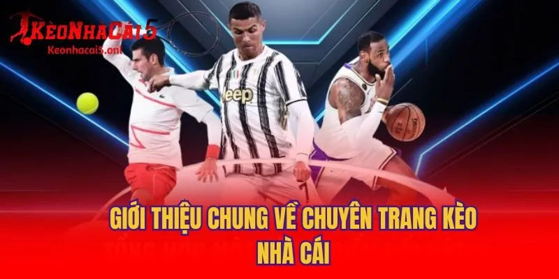 Giới thiệu chung về chuyên trang Kèo Nhà Cái